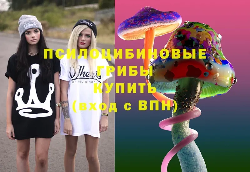 Псилоцибиновые грибы Psilocybine cubensis  Малоархангельск 